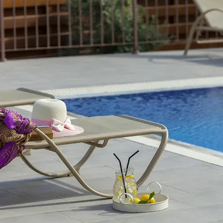 Artemis Delfini Villa Protaras